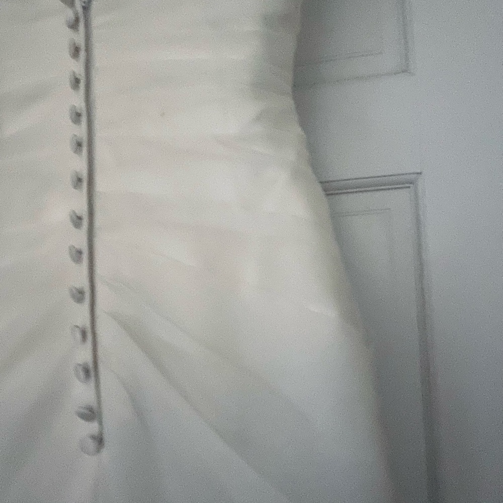 WEDDING DRESS!!! - Picture 11 of 15
